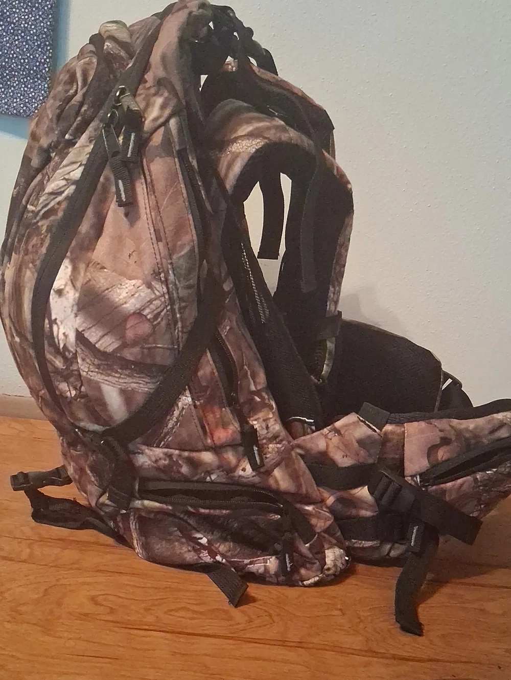 Sportchief Hiking Backpack Scent Zero Antimicrbial